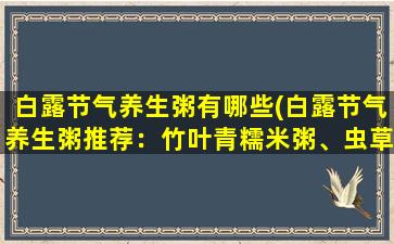 白露节气养生粥有哪些(白露节气养生粥推荐：竹叶青糯米粥、虫草花薏米粥、金针菇瘦肉粥……)