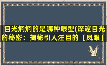 目光炯炯的是哪种眼型(深邃目光的秘密：揭秘引人注目的【凤眼】眼型原理)