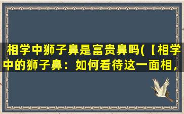 相学中狮子鼻是富贵鼻吗(【相学中的狮子鼻：如何看待这一面相，了解富贵的含义】)