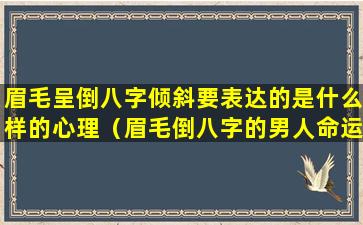 眉毛呈倒八字倾斜要表达的是什么样的心理（眉毛倒八字的男人命运）