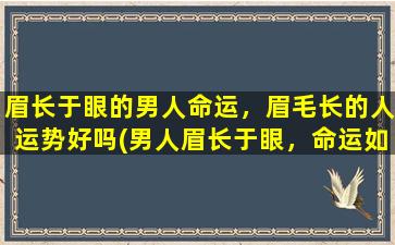 眉长于眼的男人命运，眉毛长的人运势好吗(男人眉长于眼，命运如何？看看眉毛长的人的运势如何！)