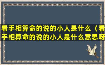 看手相算命的说的小人是什么（看手相算命的说的小人是什么意思呀）