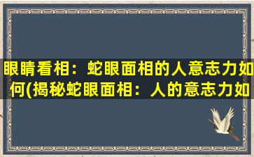 眼睛看相：蛇眼面相的人意志力如何(揭秘蛇眼面相：人的意志力如何受其影响？)