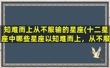 知难而上从不服输的星座(十二星座中哪些星座以知难而上，从不服输？)