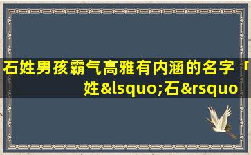 石姓男孩霸气高雅有内涵的名字「姓‘石’的男孩取个什么名较好」