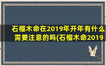 石榴木命在2019年开年有什么需要注意的吗(石榴木命2019年开运注意事项，助你顺利迎接好运！)