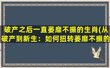 破产之后一直萎靡不振的生肖(从破产到新生：如何扭转萎靡不振的生肖命运？)