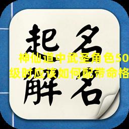 神仙道中武圣角色50级时应该如何配带命格