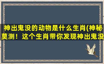 神出鬼没的动物是什么生肖(神秘莫测！这个生肖带你发现神出鬼没的动物)