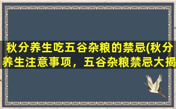 秋分养生吃五谷杂粮的禁忌(秋分养生注意事项，五谷杂粮禁忌大揭秘！)