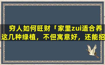 穷人如何旺财「家里zui适合养这几种绿植，不但寓意好，还能招财旺运」