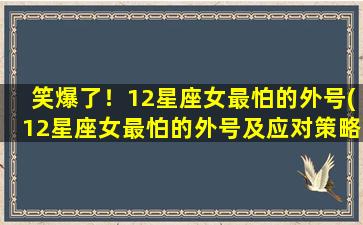 笑爆了！12星座女最怕的外号(12星座女最怕的外号及应对策略，让你成为知己知彼SEO女王！)