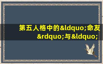 第五人格中的“命友”与“雨泽”角色有何关联