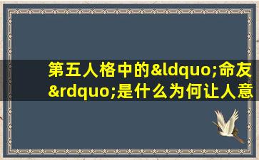 第五人格中的“命友”是什么为何让人意想不到