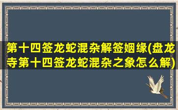 第十四签龙蛇混杂解签姻缘(盘龙寺第十四签龙蛇混杂之象怎么解)