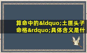 算命中的“土匪头子命格”具体含义是什么