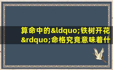 算命中的“铁树开花”命格究竟意味着什么