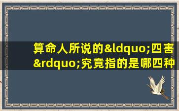 算命人所说的“四害”究竟指的是哪四种命格