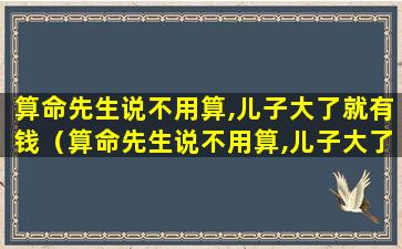 算命先生说不用算,儿子大了就有钱（算命先生说不用算,儿子大了就有钱怎么办）