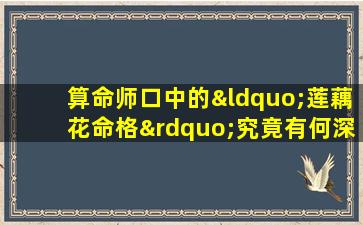 算命师口中的“莲藕花命格”究竟有何深意