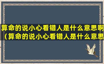 算命的说小心看错人是什么意思啊（算命的说小心看错人是什么意思啊怎么回答）