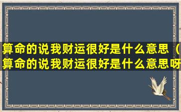 算命的说我财运很好是什么意思（算命的说我财运很好是什么意思呀）