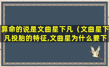 算命的说是文曲星下凡（文曲星下凡投胎的特征,文曲星为什么要下凡(2)）