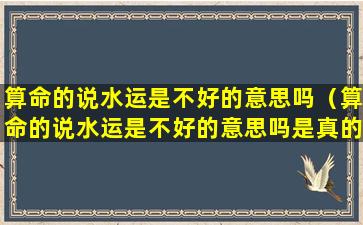 算命的说水运是不好的意思吗（算命的说水运是不好的意思吗是真的吗）