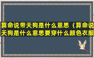 算命说带天狗是什么意思（算命说天狗是什么意思要穿什么颜色衣服）