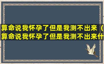 算命说我怀孕了但是我测不出来（算命说我怀孕了但是我测不出来什么意思）