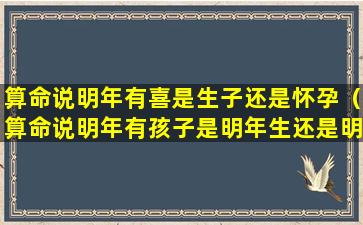 算命说明年有喜是生子还是怀孕（算命说明年有孩子是明年生还是明年怀）