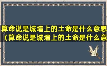 算命说是城墙上的土命是什么意思（算命说是城墙上的土命是什么意思啊）