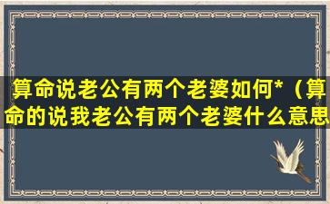 算命说老公有两个老婆如何*（算命的说我老公有两个老婆什么意思）