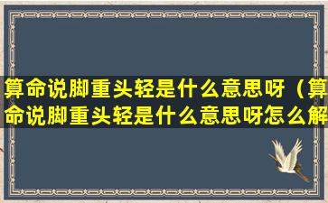 算命说脚重头轻是什么意思呀（算命说脚重头轻是什么意思呀怎么解释）