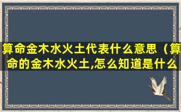 算命金木水火土代表什么意思（算命的金木水火土,怎么知道是什么命）