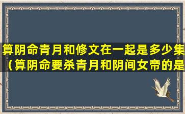 算阴命青月和修文在一起是多少集（算阴命要杀青月和阴间女帝的是谁）