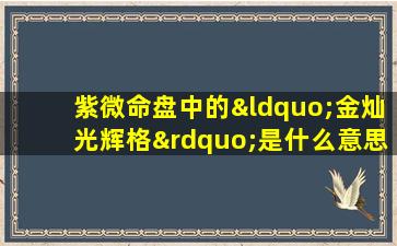 紫微命盘中的“金灿光辉格”是什么意思