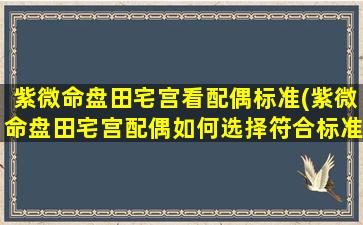 紫微命盘田宅宫看配偶标准(紫微命盘田宅宫配偶如何选择符合标准？)