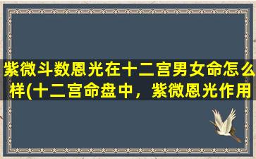 紫微斗数恩光在十二宫男女命怎么样(十二宫命盘中，紫微恩光作用于男女命格的详解)