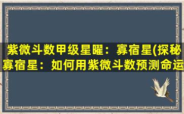 紫微斗数甲级星曜：寡宿星(探秘寡宿星：如何用紫微斗数预测命运？)