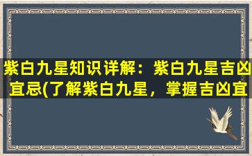 紫白九星知识详解：紫白九星吉凶宜忌(了解紫白九星，掌握吉凶宜忌，让你事业财运直线上升！)