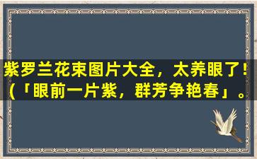 紫罗兰花束图片大全，太养眼了！(「眼前一片紫，群芳争艳春」。)