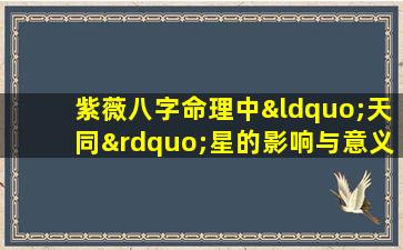 紫薇八字命理中“天同”星的影响与意义是什么