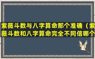 紫薇斗数与八字算命那个准确（紫薇斗数和八字算命完全不同信哪个）