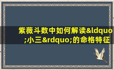 紫薇斗数中如何解读“小三”的命格特征