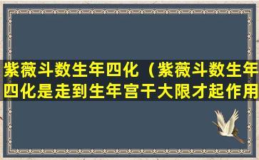 紫薇斗数生年四化（紫薇斗数生年四化是走到生年宫干大限才起作用吗）