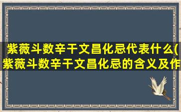 紫薇斗数辛干文昌化忌代表什么(紫薇斗数辛干文昌化忌的含义及作用，了解一下！)