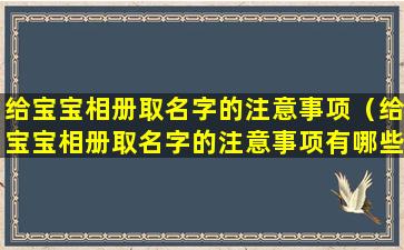 给宝宝相册取名字的注意事项（给宝宝相册取名字的注意事项有哪些）