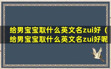 给男宝宝取什么英文名zui好（给男宝宝取什么英文名zui好呢）