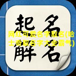 网红可爱名字取名(哈士奇取名字大全霸气)